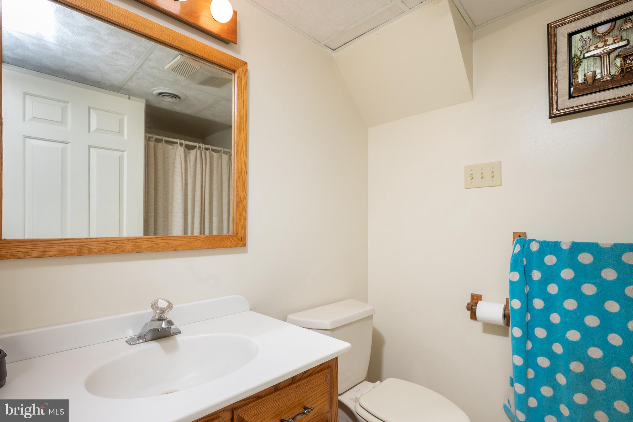 37 Fawn Drive Reading, PA 19607 - Photo 60 of 73 Basement Full Bathroom