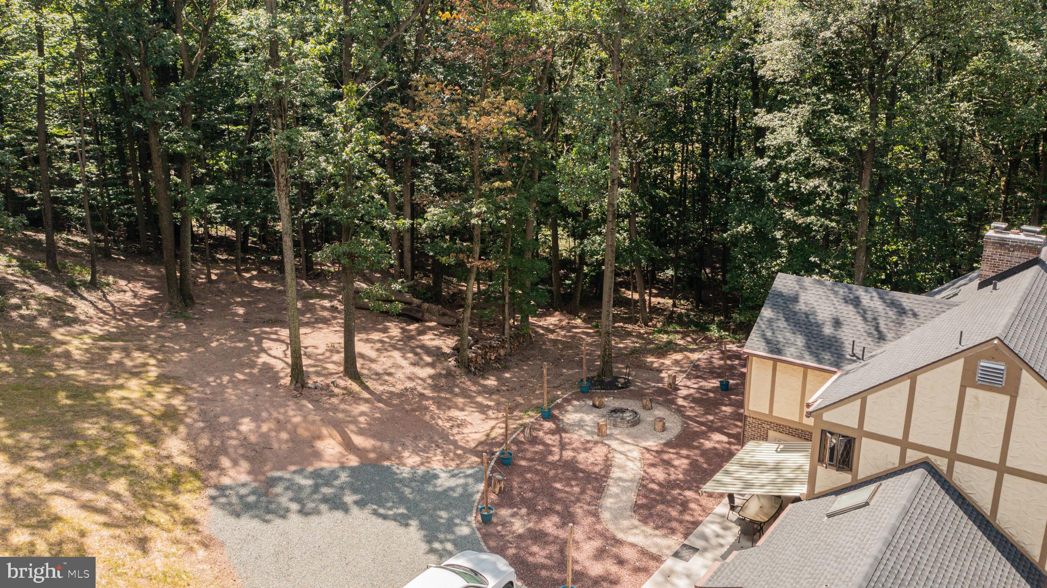 Mature sun filtering trees allowing for privacy