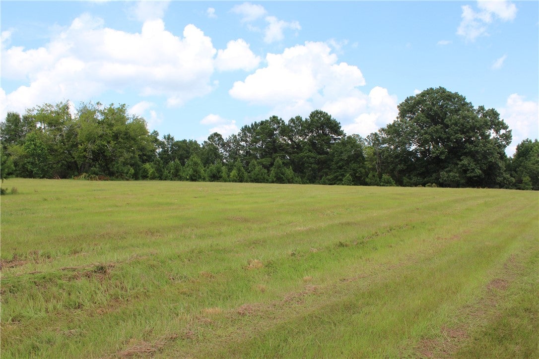 0 Brooks Road Phenix City, AL 36870 - Photo 2 of 14 Gallery Image 2