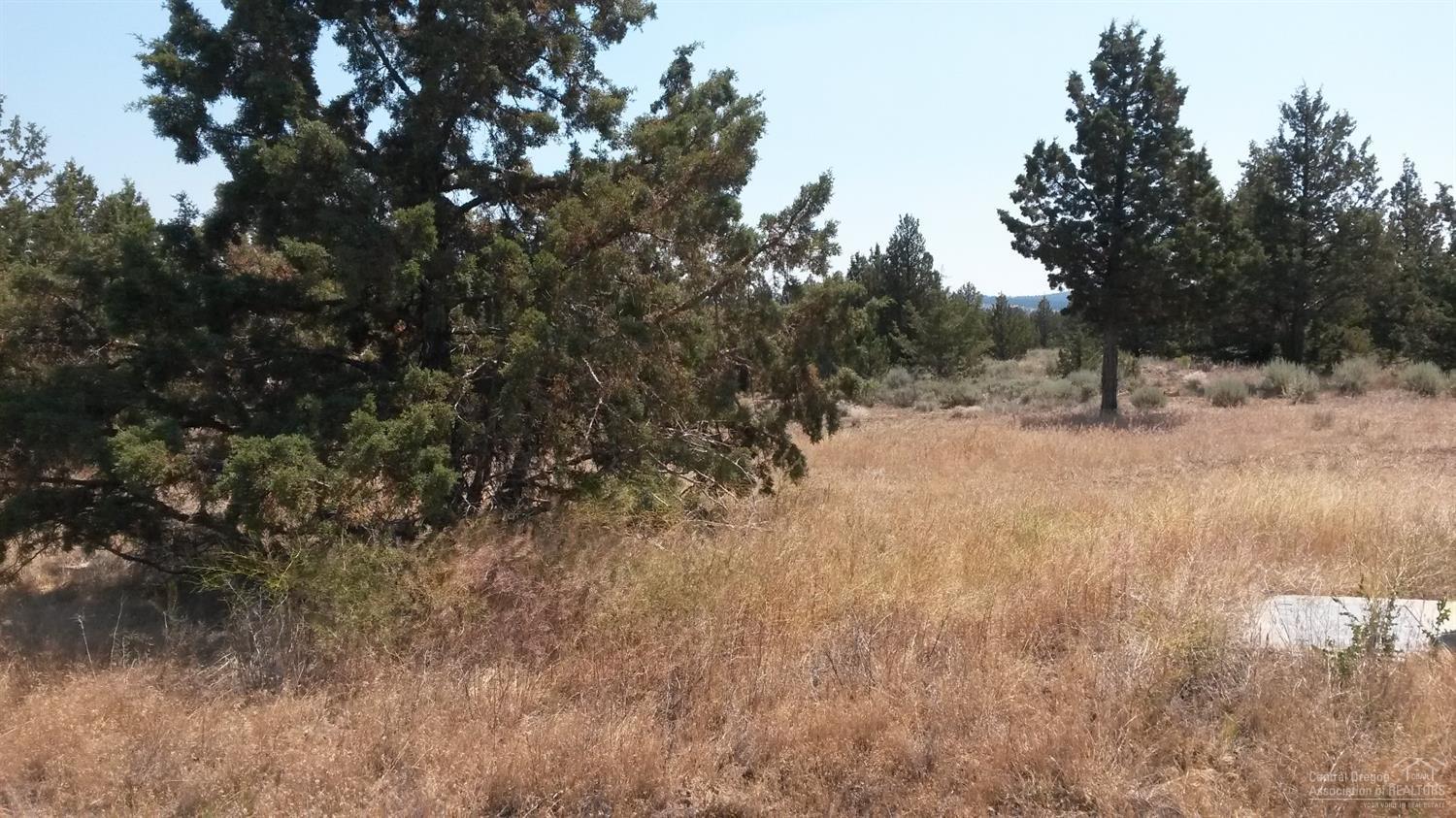 13150 Southeast Falcon Ridge Road Prineville, OR 97754 - Photo 7 of 22 Additional Photo