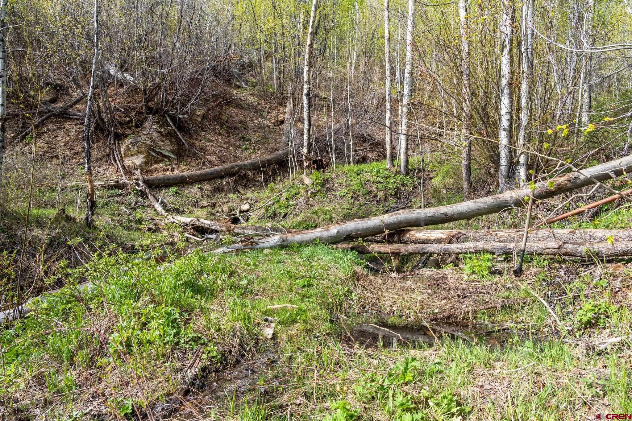 Tbd Tbd Destination Ranch Road Durango, CO 81301 - Photo 11 of 16 a view of banana tree