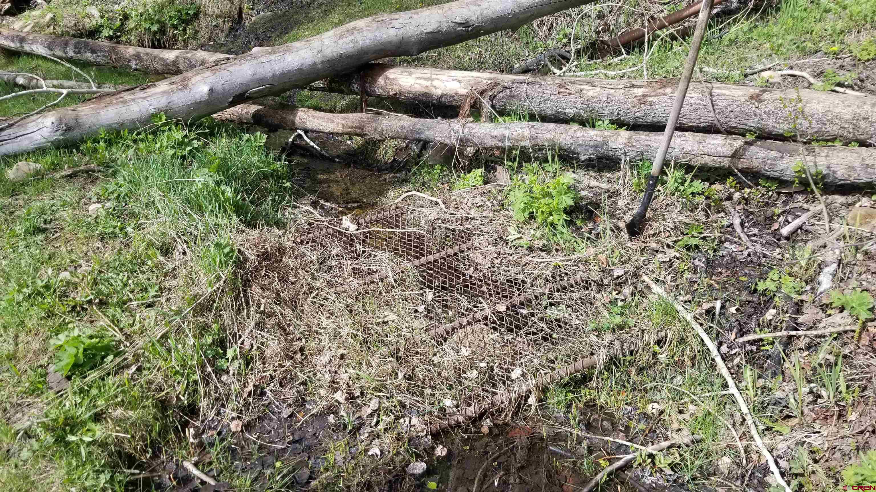Tbd Tbd Destination Ranch Road Durango, CO 81301 - Photo 12 of 16 a view of a yard with plants and large trees
