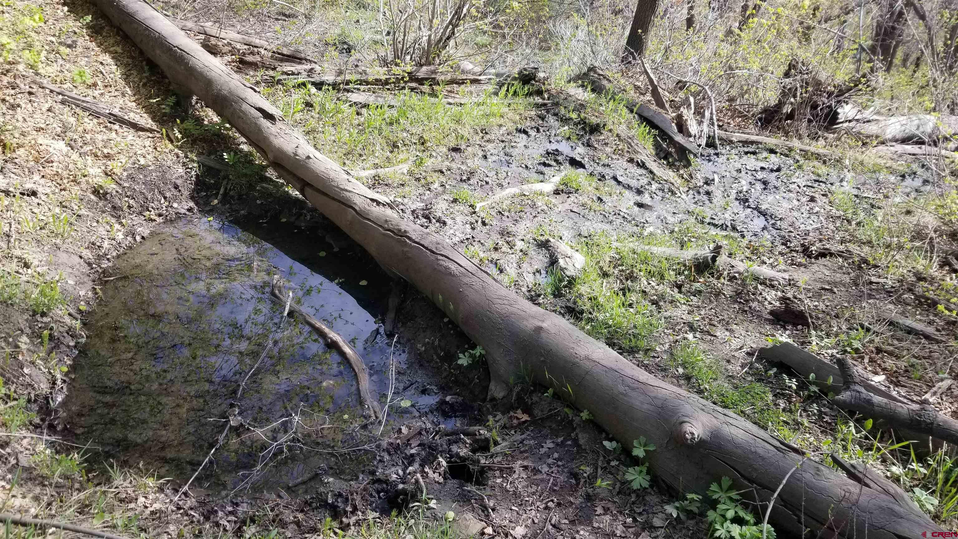 Tbd Tbd Destination Ranch Road Durango, CO 81301 - Photo 13 of 16 a view of a garden from a balcony