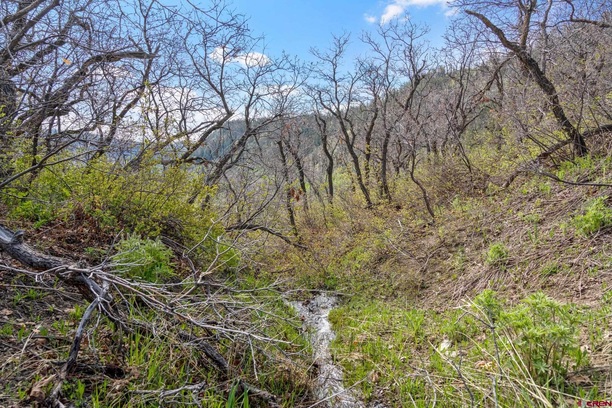 Tbd Tbd Destination Ranch Road Durango, CO 81301 - Photo 14 of 16
