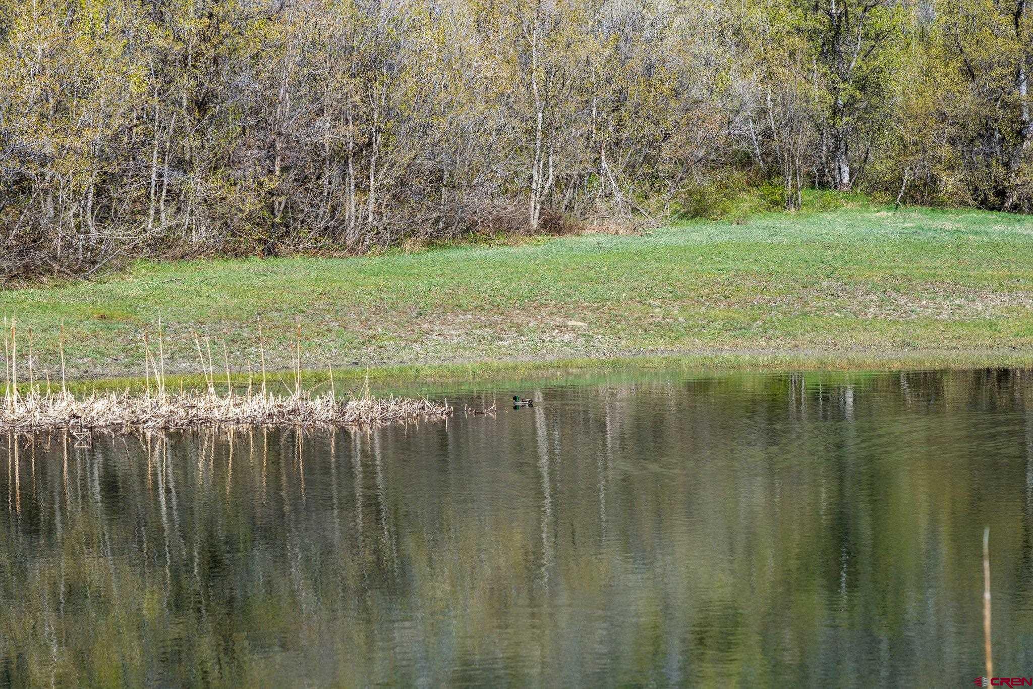 Tbd Tbd Destination Ranch Road Durango, CO 81301 - Photo 2 of 16 a view of a water pond with green yard