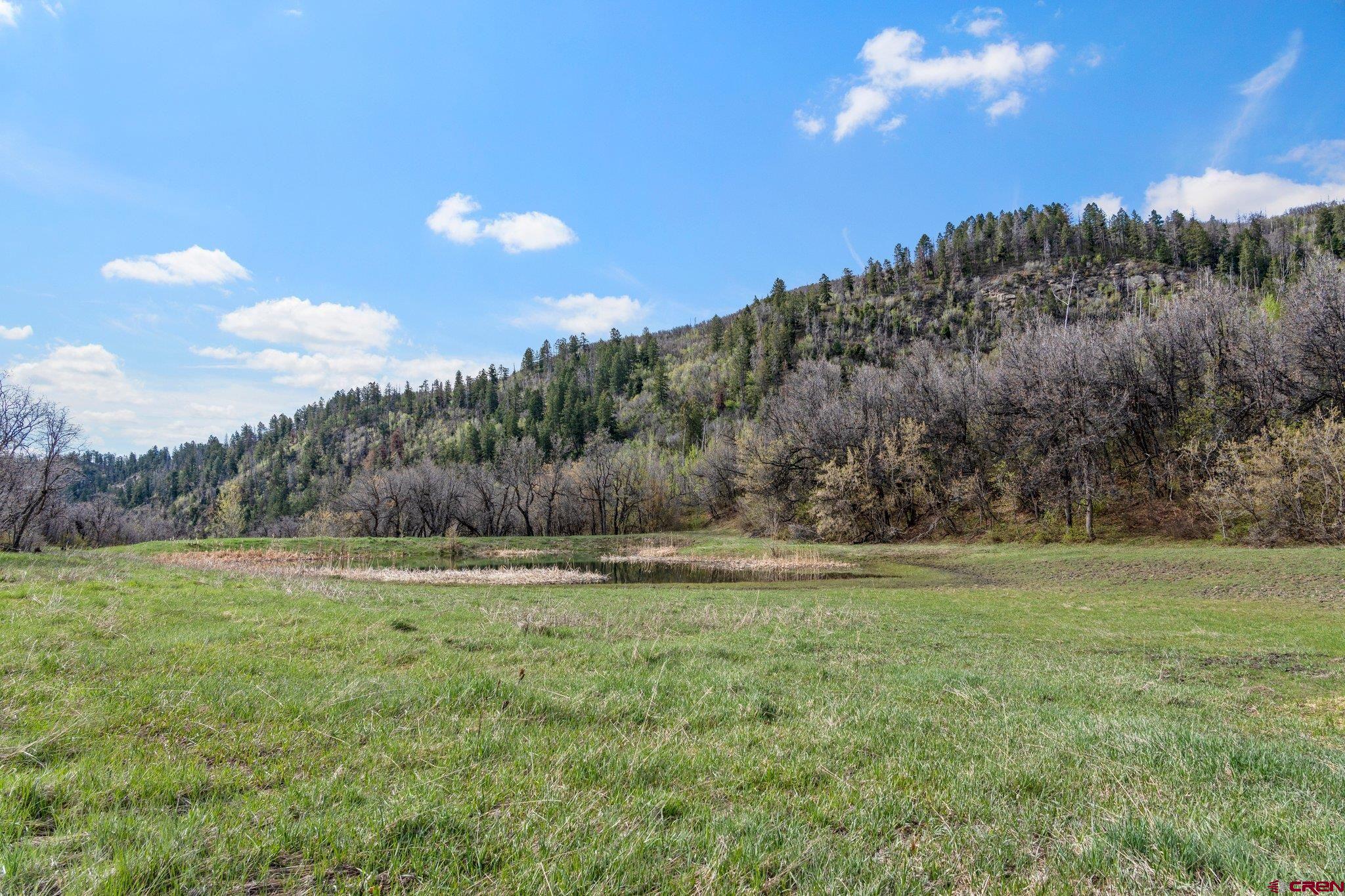 Tbd Tbd Destination Ranch Road Durango, CO 81301 - Photo 6 of 16 a view of outdoor space with green field and trees