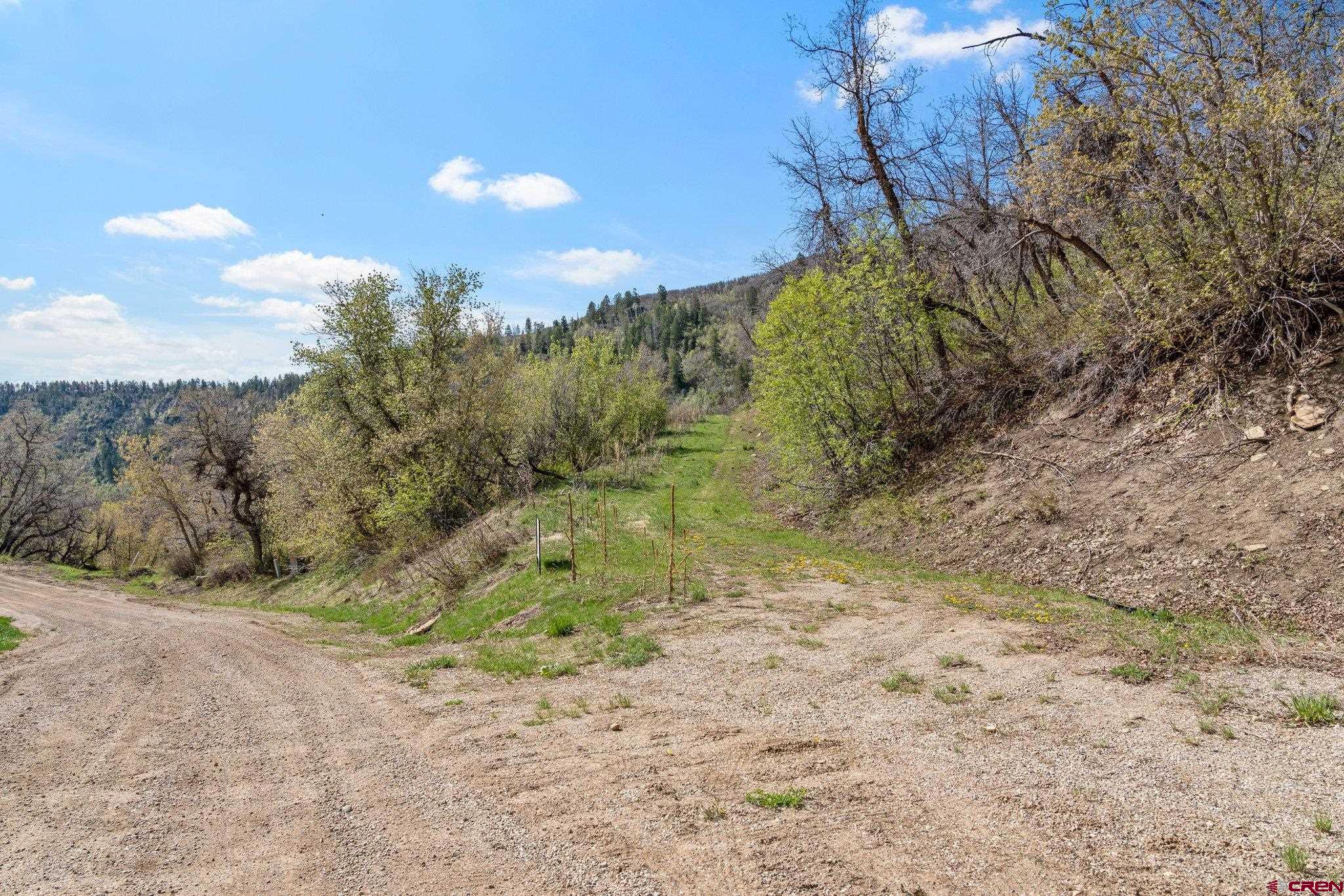 Tbd Tbd Destination Ranch Road Durango, CO 81301 - Photo 7 of 16 a view of a yard with a tree