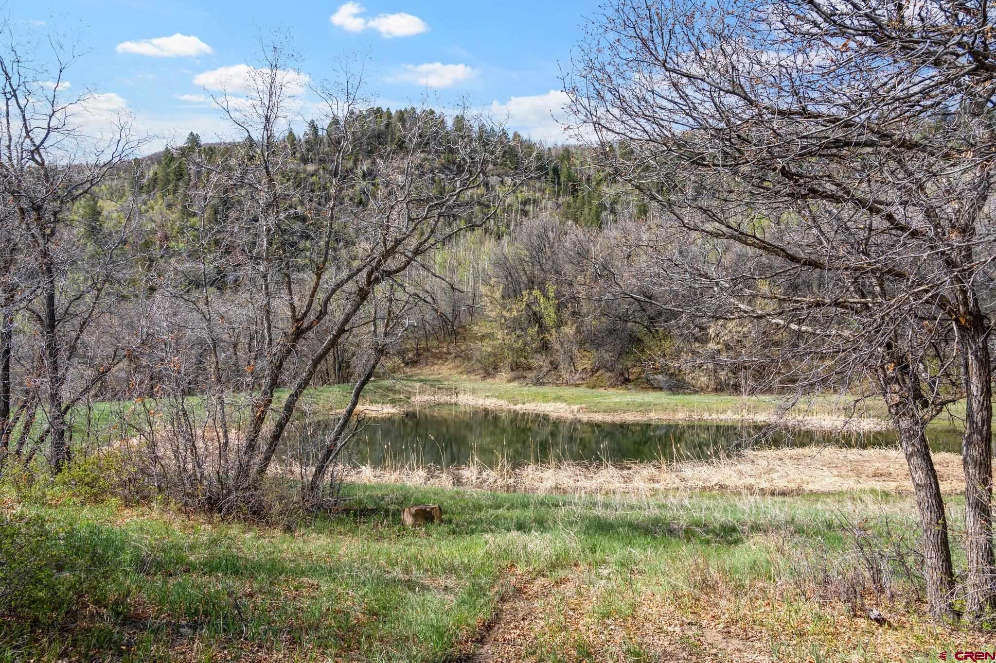 Tbd Tbd Destination Ranch Road Durango, CO 81301 - Photo 8 of 16 a view of a yard with large trees