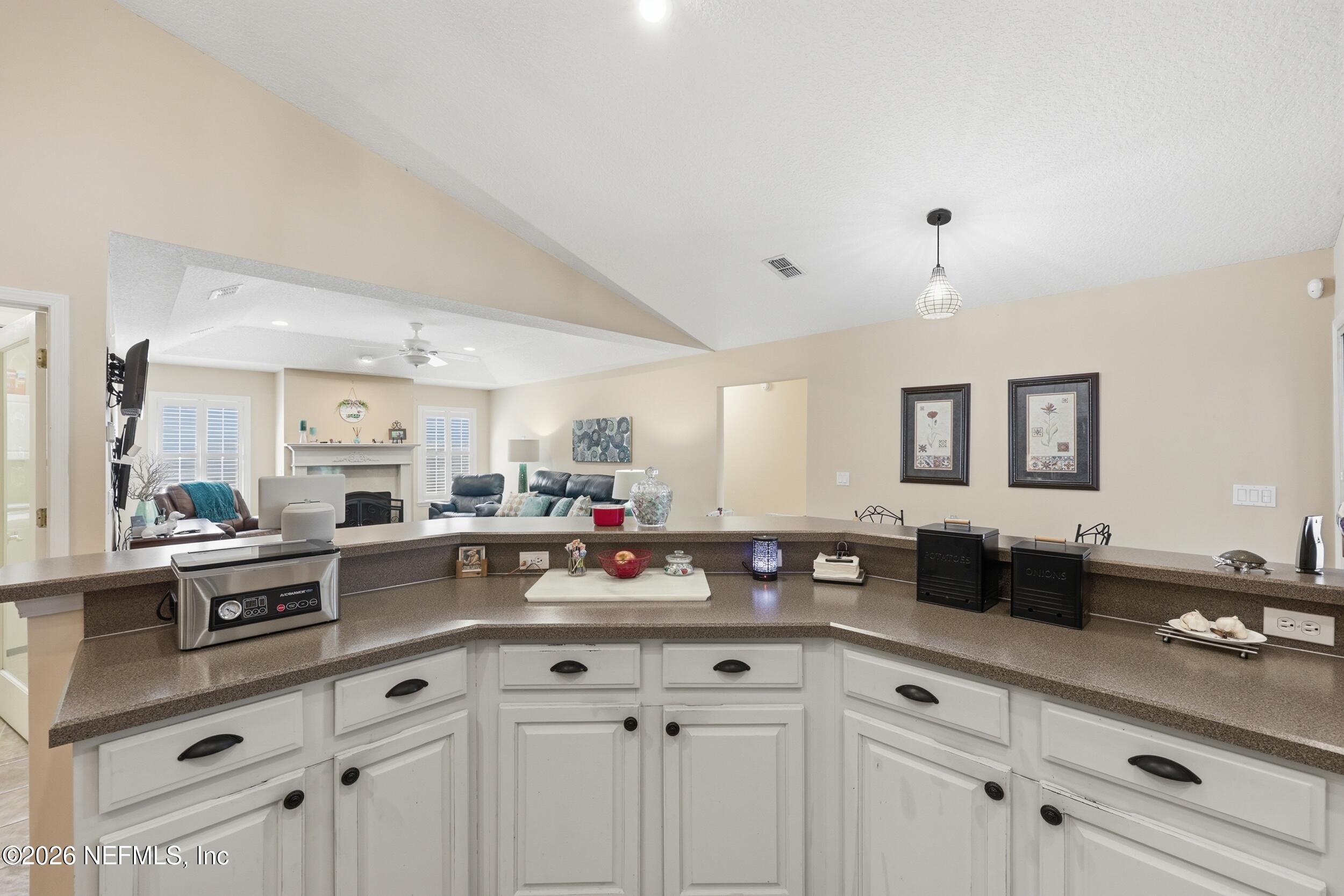 684 Chestwood Chase Drive Orange Park, FL 32065 - Photo 17 of 54 the real estateographers_016