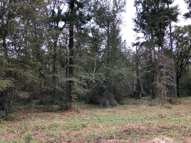 0 Cedar Drive Cochran, GA 31014 - Photo 6 of 11