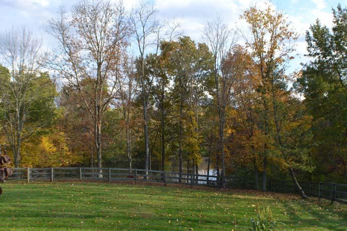 7954 East Bend Road Burlington, KY 41005 - Photo 29 of 30 Gallery Image 29