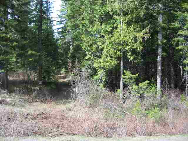 8531 1/2 Fertile Valley Road Newport, WA 99156 - Photo 1 of 7 Gallery Image 1