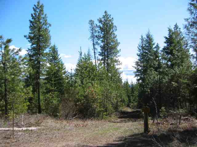 8531 1/2 Fertile Valley Road Newport, WA 99156 - Photo 2 of 7 Gallery Image 2