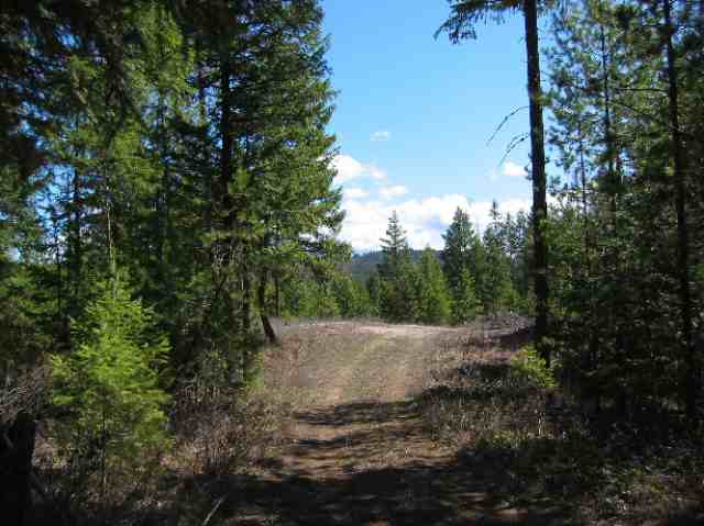 8531 1/2 Fertile Valley Road Newport, WA 99156 - Photo 3 of 7 Gallery Image 3