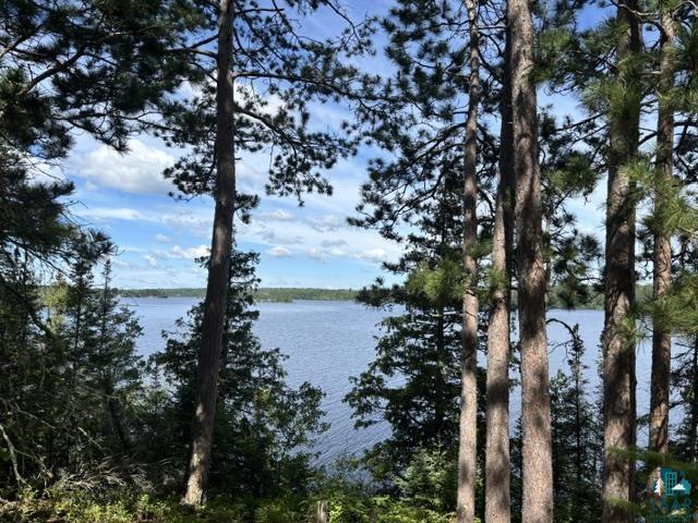 Tbd Tbd Powerhouse Trail Ely, MN 55731 - Photo 1 of 16