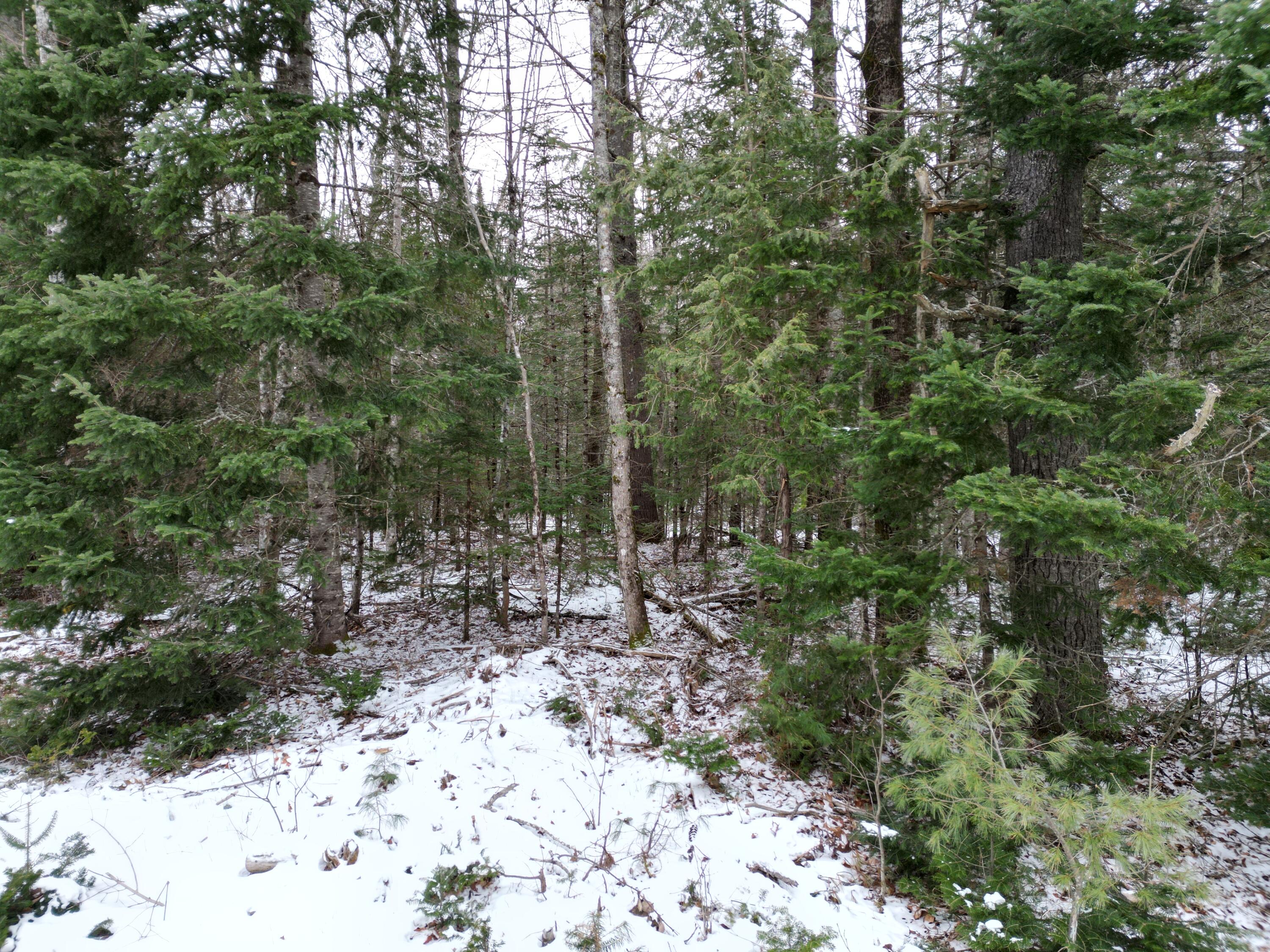9-2 Edinburg Road Howland, ME 04448 - Photo 6 of 12 DJI_0570