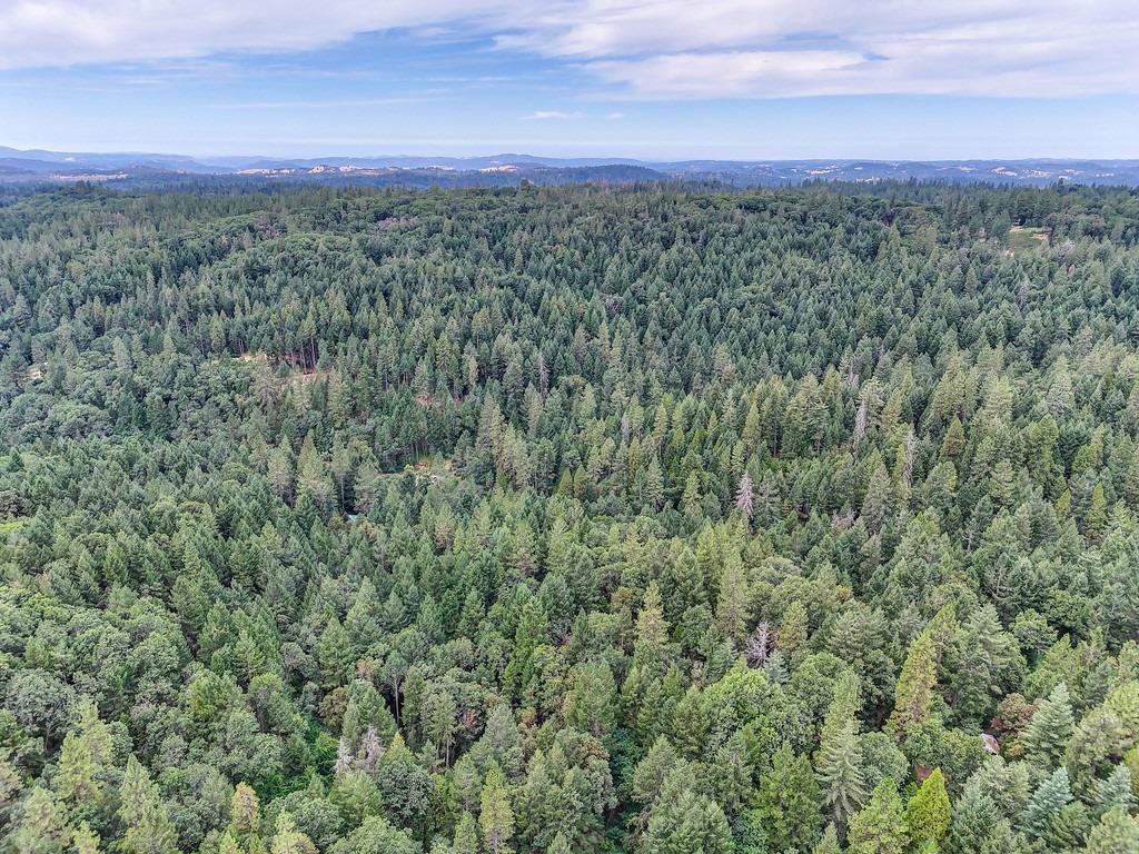 3701 Marshall Road Georgetown, CA 95634 - Photo 7 of 11