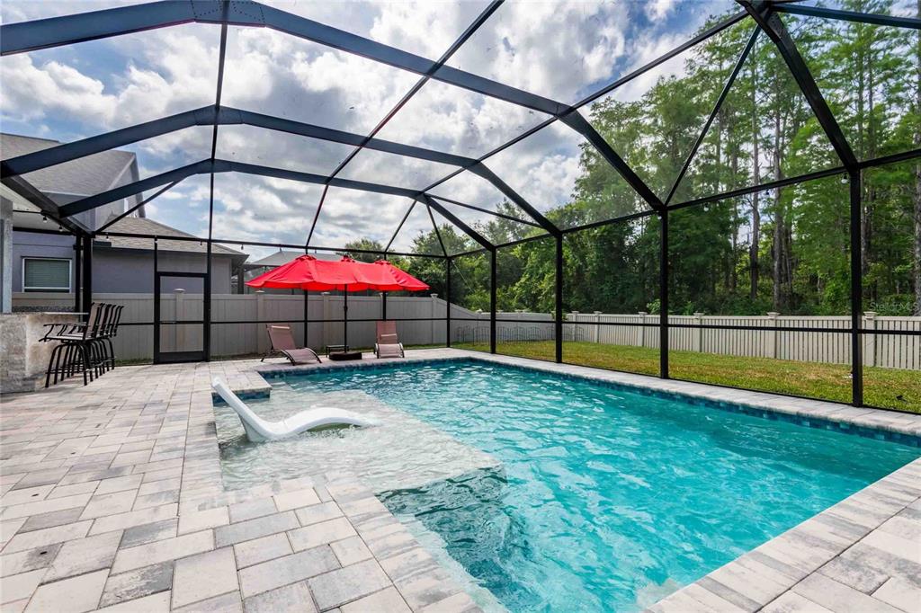 12846 Tikal Way Trinity, FL 34655 - Photo 51 of 54