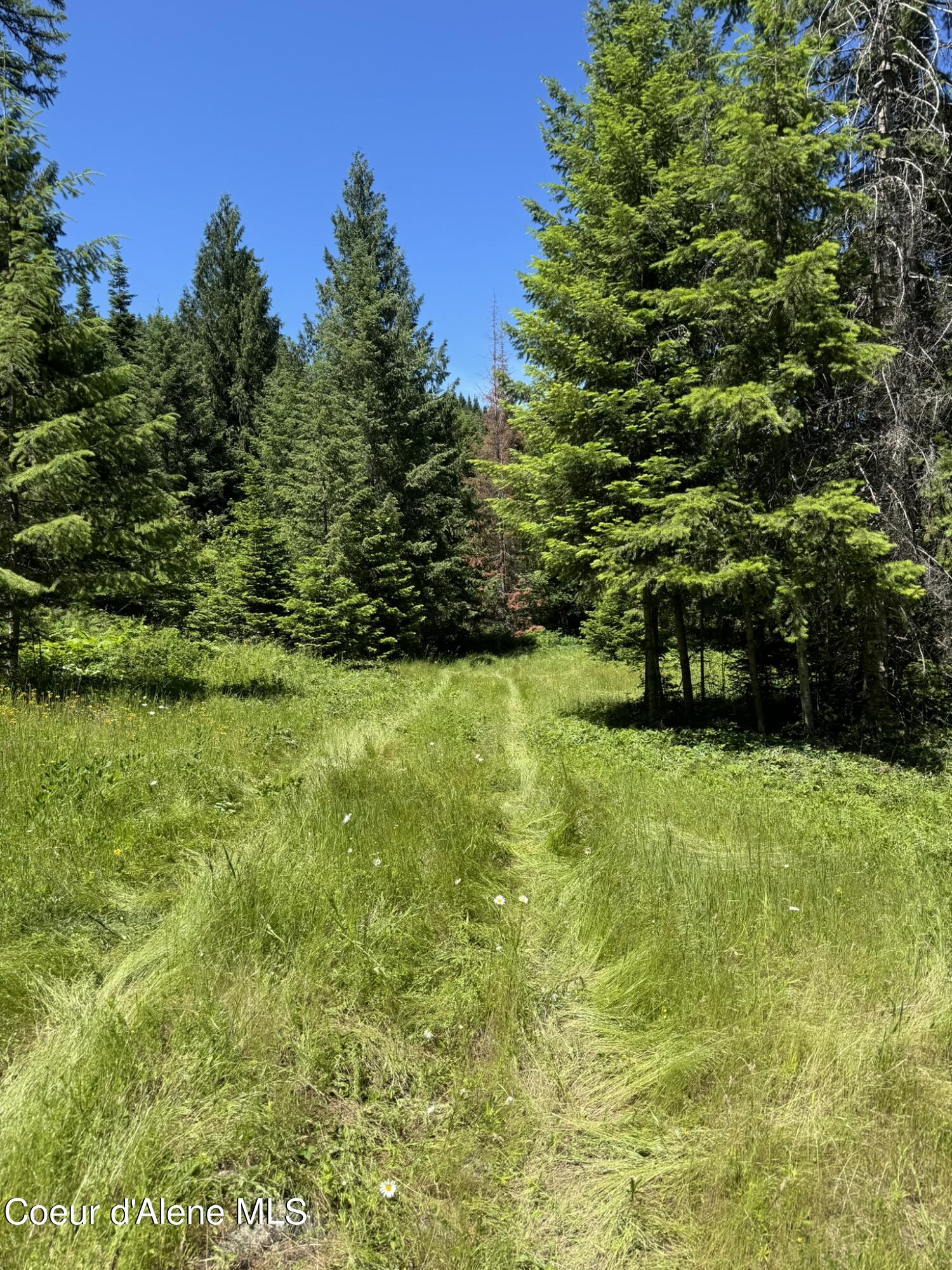 7362 South Dick's Creek Road Kendrick, ID 83537 - Photo 14 of 47 14