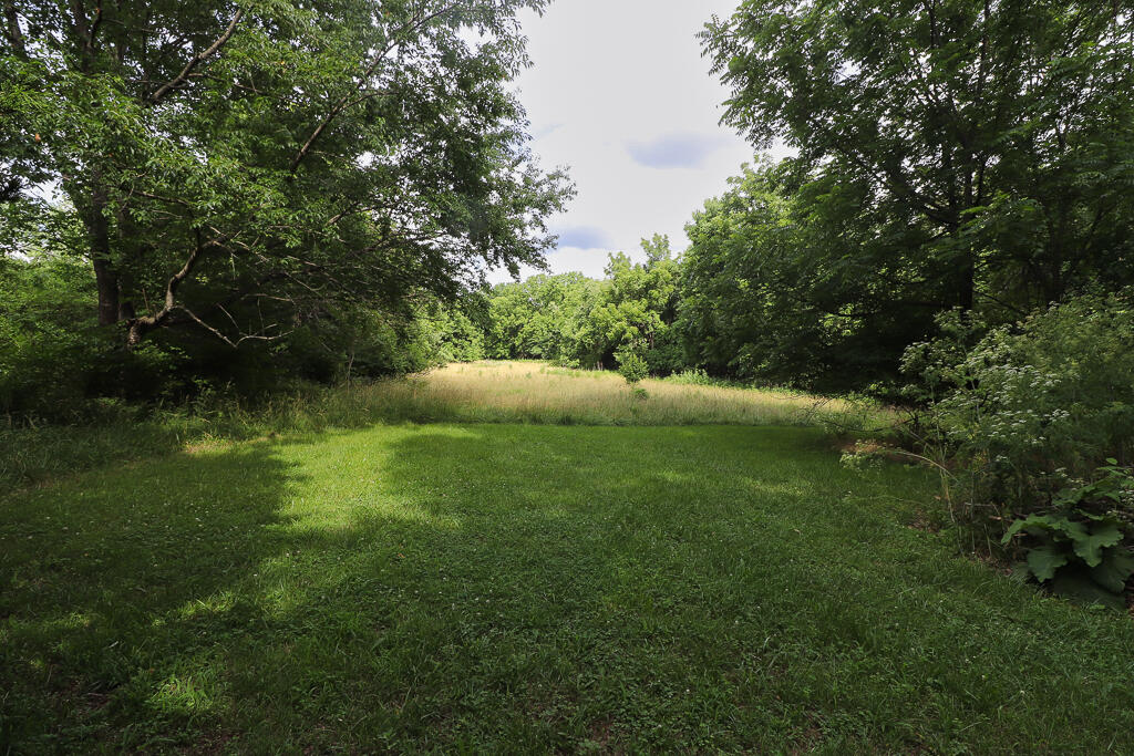 0 East Valley Water Mill Road Springfield, MO 65803 - Photo 21 of 29 IMG_5382