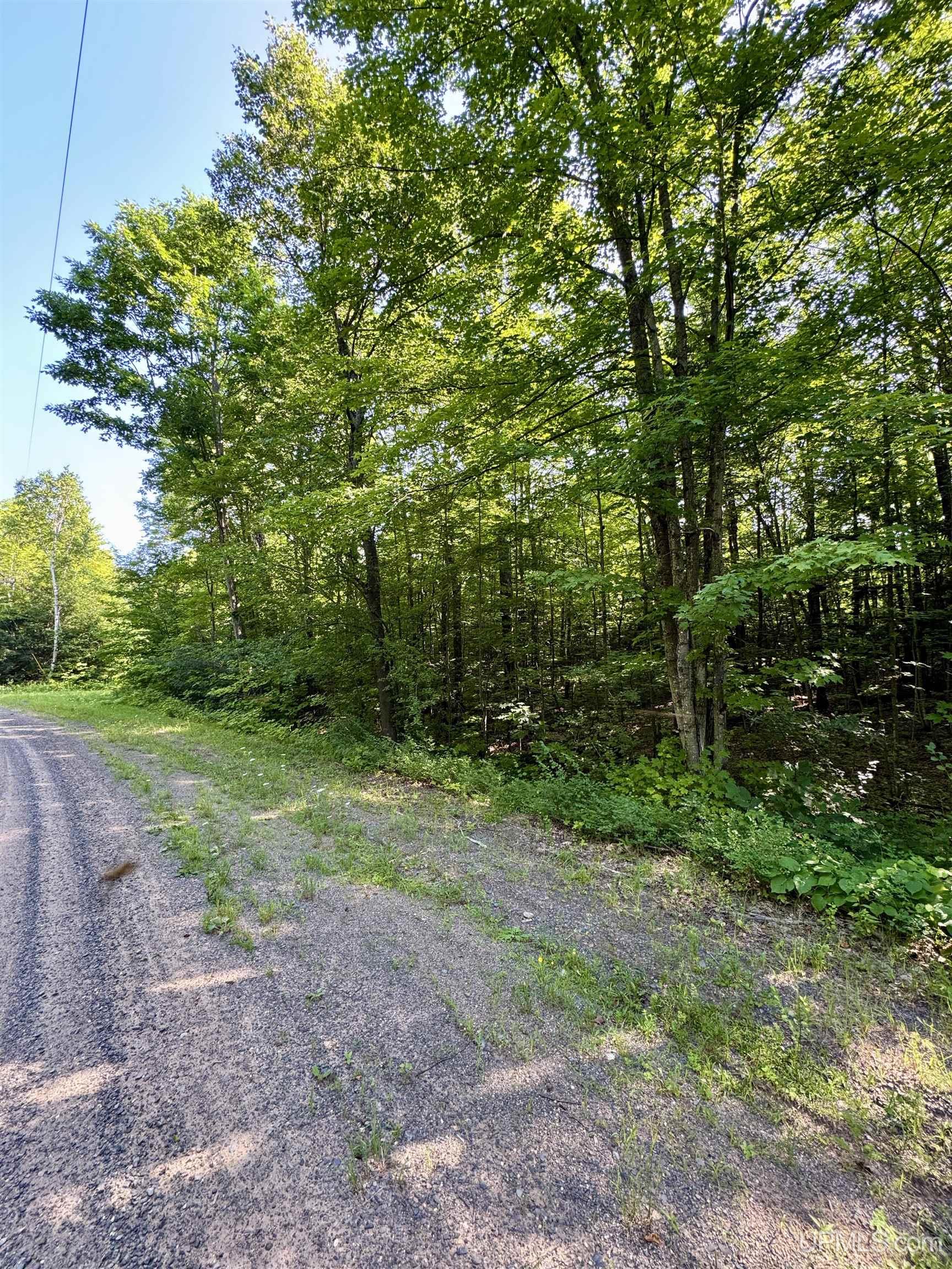 Tbd Dog Patch Road Lanse, MI 49946 - Photo 3 of 8 Gallery Image 3