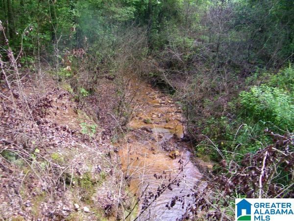 519 County Road, Unit 98 Woodland, AL 36280 - Photo 7 of 7