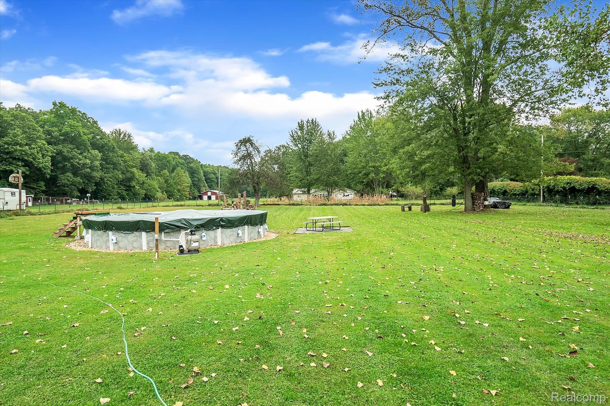 22115 Haggerty Road Belleville, MI 48111 - Photo 7 of 47 BACKYARD