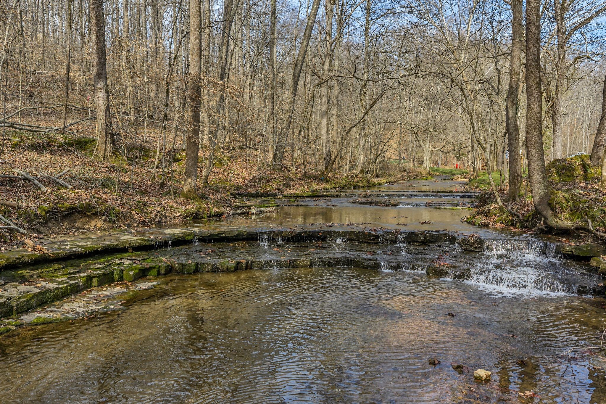 7575 King Road Fairview, TN 37062 - Photo 64 of 68
