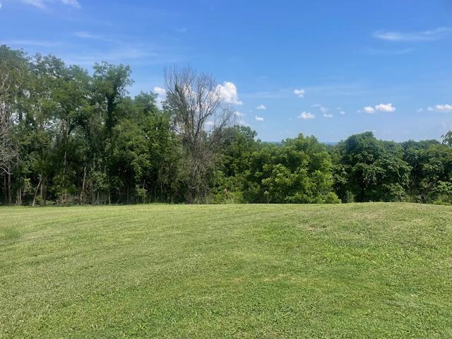 1512 Turner Ridge Road Falmouth, KY 41040 - Photo 10 of 42 Gallery Image 10