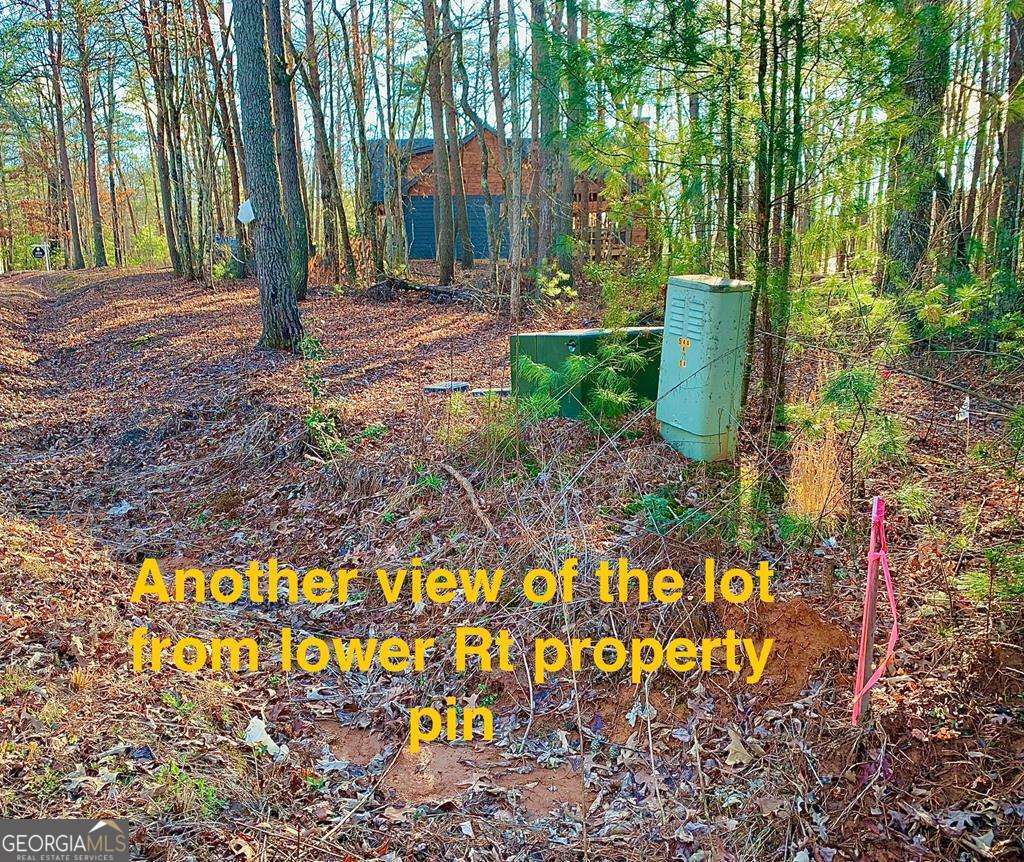 1134 Lee’s Ride, Unit 26 McCaysville, GA 30555 - Photo 49 of 74