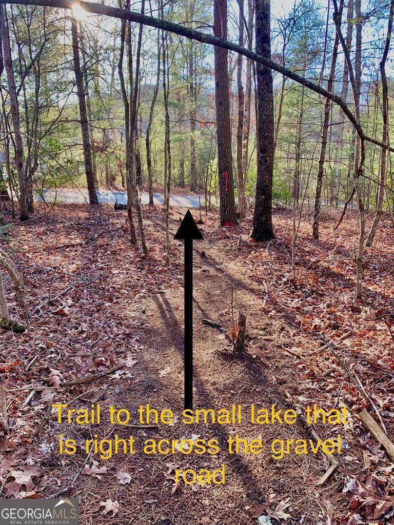 1134 Lee’s Ride, Unit 26 McCaysville, GA 30555 - Photo 53 of 74