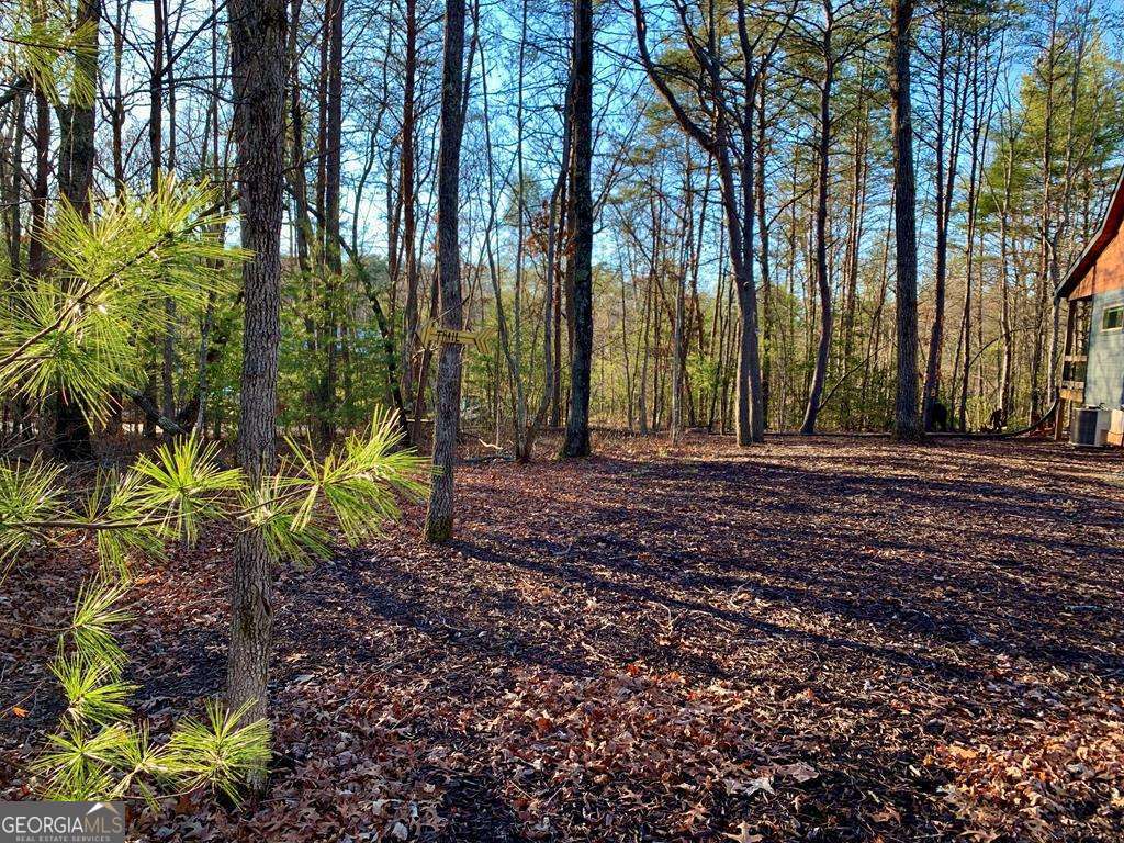 1134 Lee’s Ride, Unit 26 McCaysville, GA 30555 - Photo 59 of 74