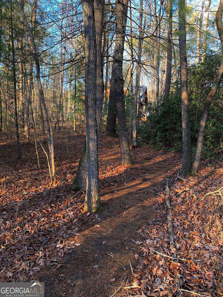 1134 Lee’s Ride, Unit 26 McCaysville, GA 30555 - Photo 62 of 74