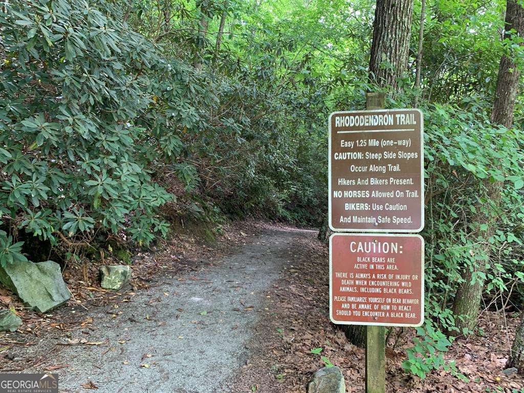 1134 Lee’s Ride, Unit 26 McCaysville, GA 30555 - Photo 73 of 74