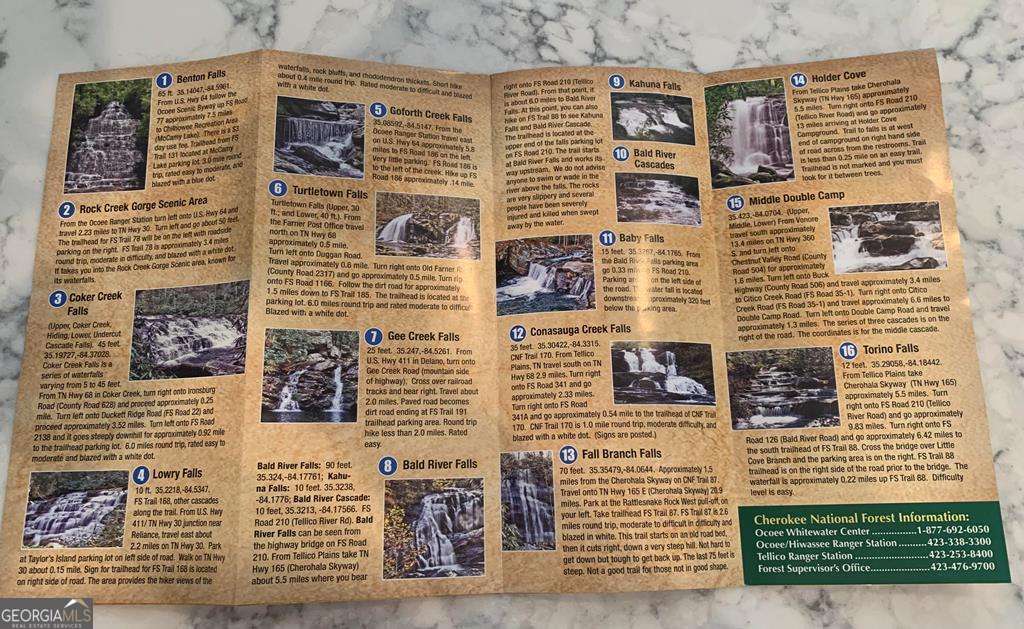 1134 Lee’s Ride, Unit 26 McCaysville, GA 30555 - Photo 74 of 74