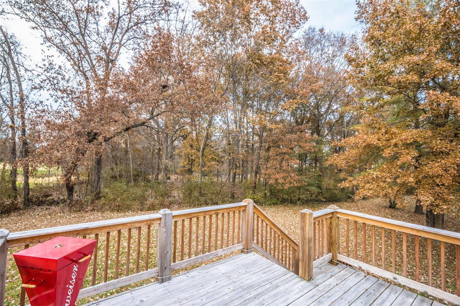 130 Cedar Ridge Court Weldon Spring, MO 63304 - Photo 38 of 55 Gallery Image 38