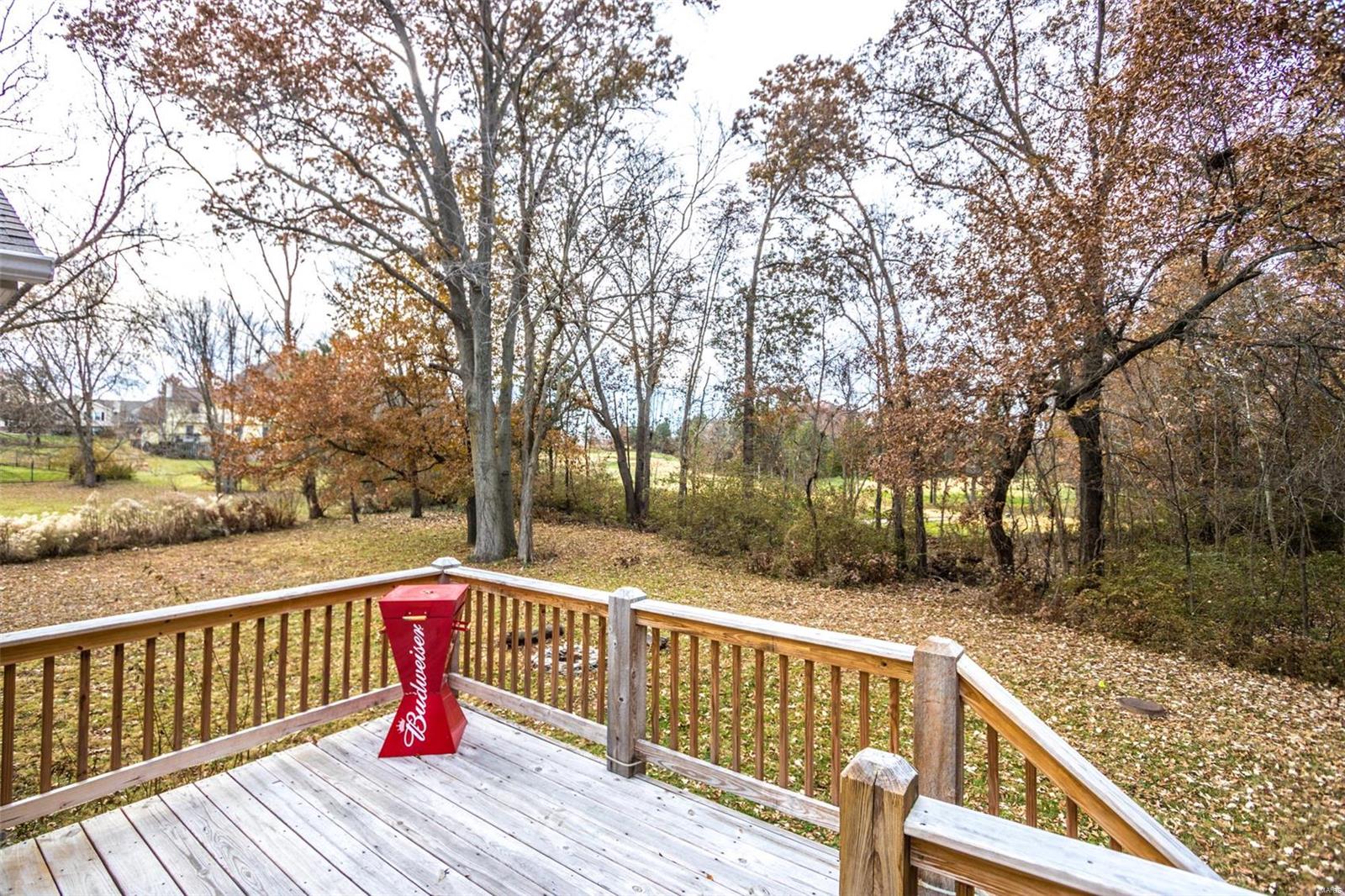 130 Cedar Ridge Court Weldon Spring, MO 63304 - Photo 40 of 55 Gallery Image 40