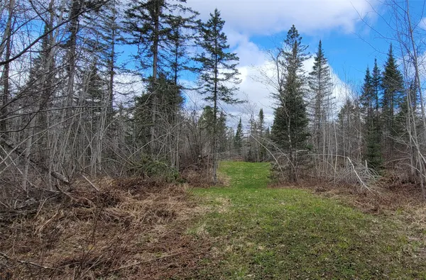 $92,500 | 11553 North County Highway East, Hayward, WI 54843