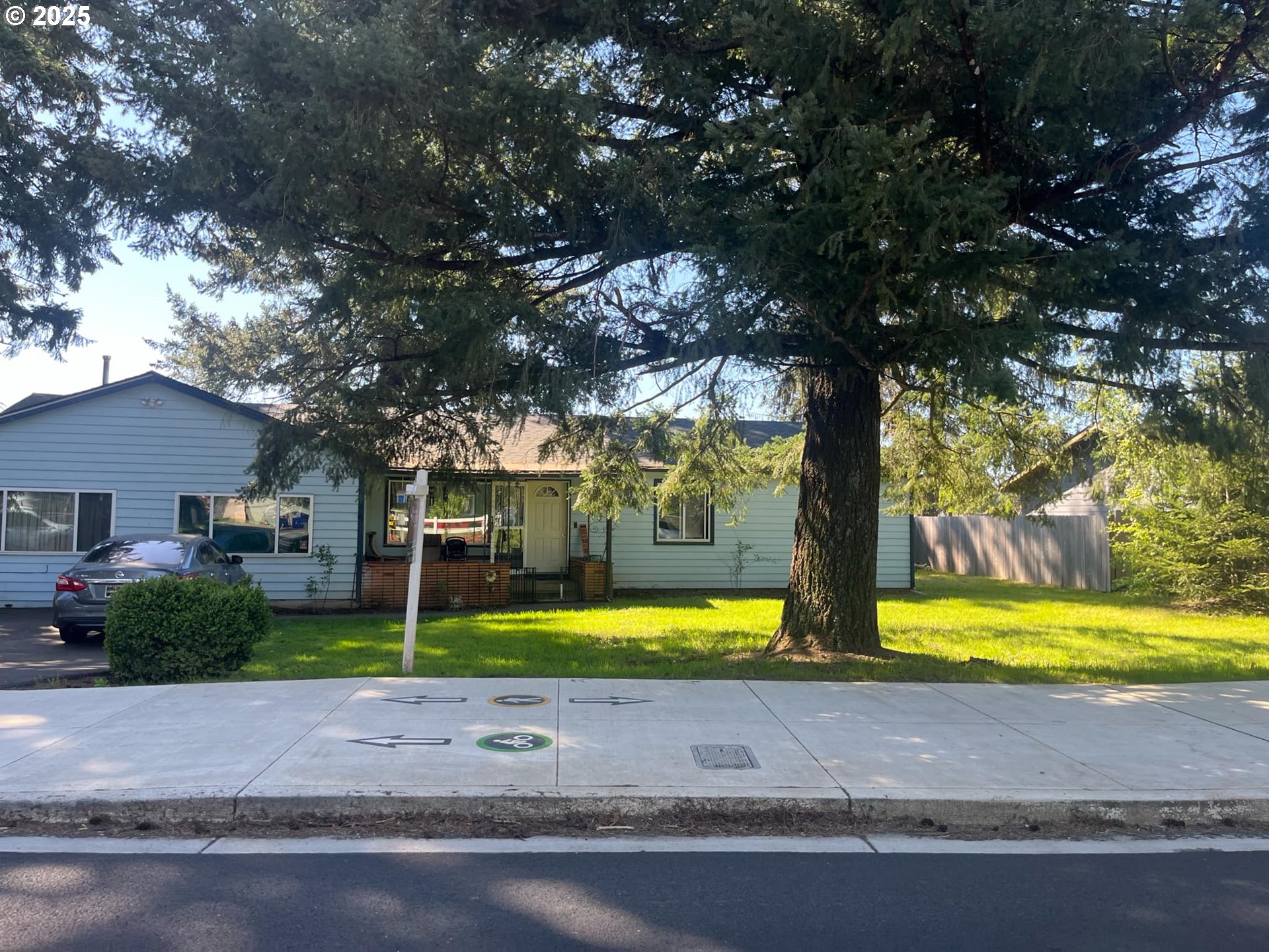 a view of a yard with palm trees