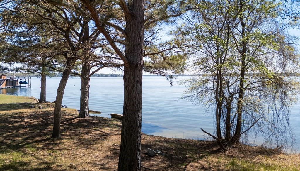 229 Esquire Estates Road Mabank, TX 75156 - Photo 8 of 19 a view of a tree in the middle of a yard