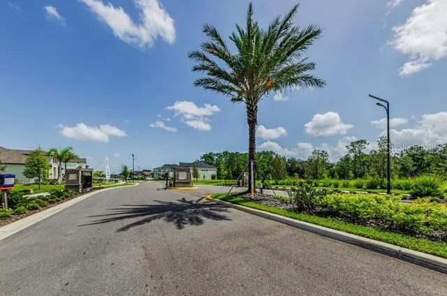 a row of palm trees sitting in a park with large trees