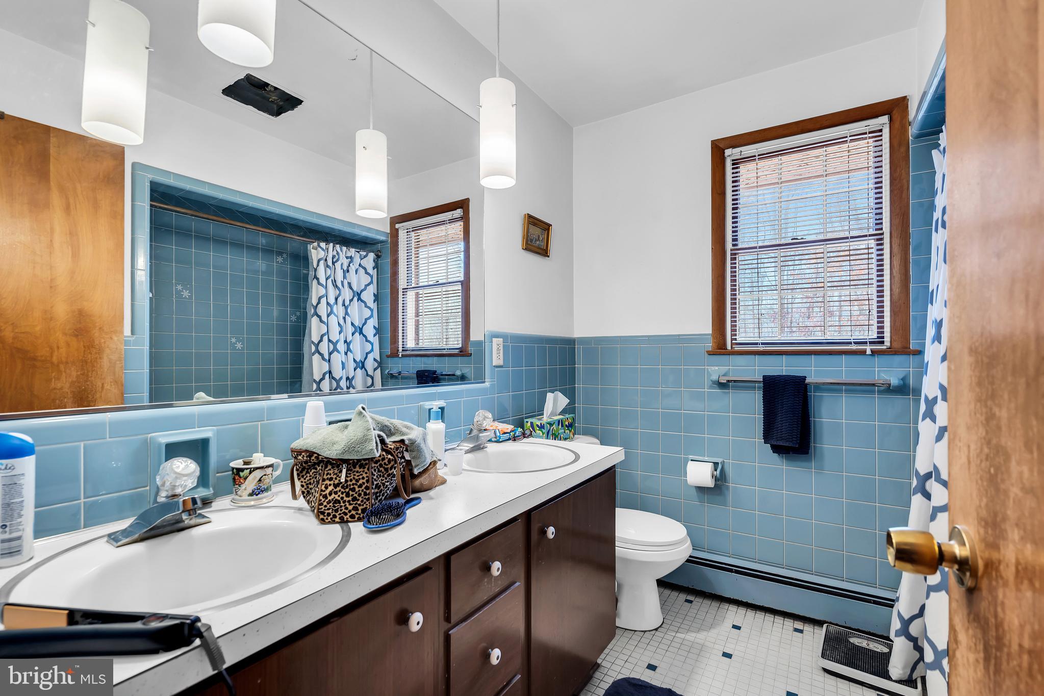 106 Rocktown Road Ringoes, NJ 08551 - Photo 22 of 36 Full Bath