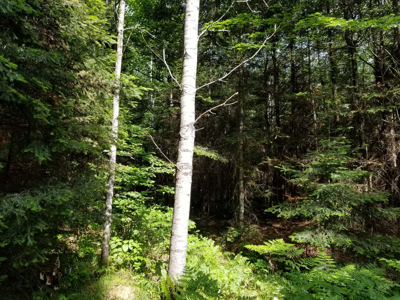 Lot 31 Nathan Pass Mercer, WI 54547 - Photo 26 of 26 Gallery Image 26