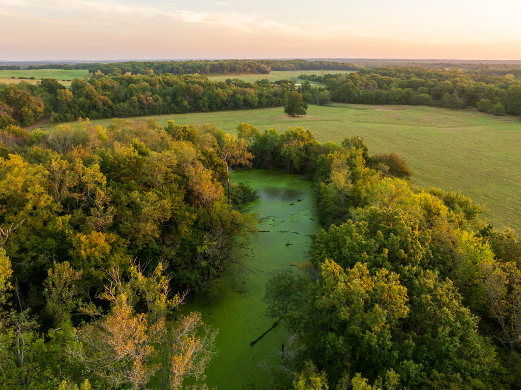 2395 Southwest County Road Hume, MO 64752 - Photo 15 of 81 Bates 50 (MLS)--16