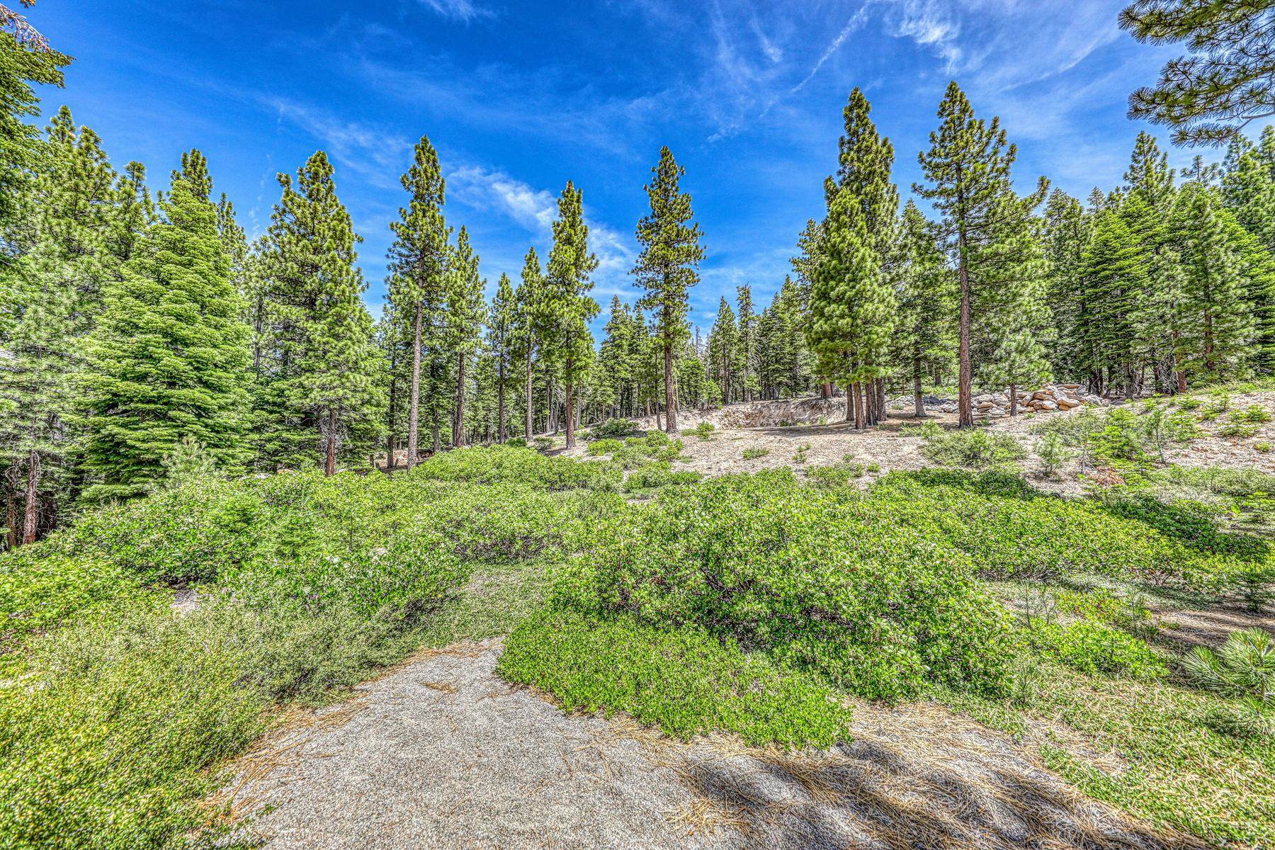 16145 Martis Peak Road Truckee, CA 96161 - Photo 4 of 21