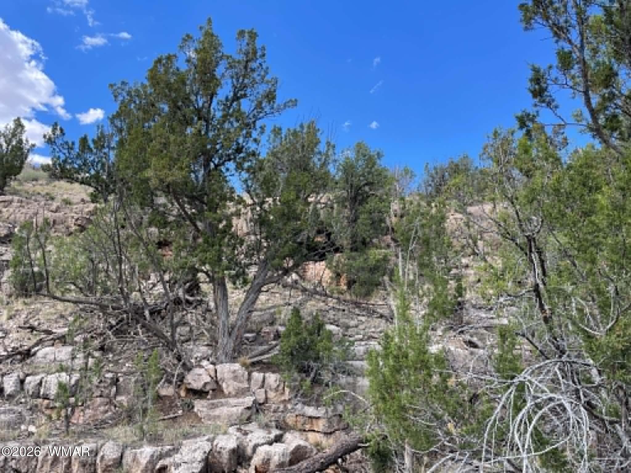 785 Twin Tanks Road Heber, AZ 85928 - Photo 9 of 39