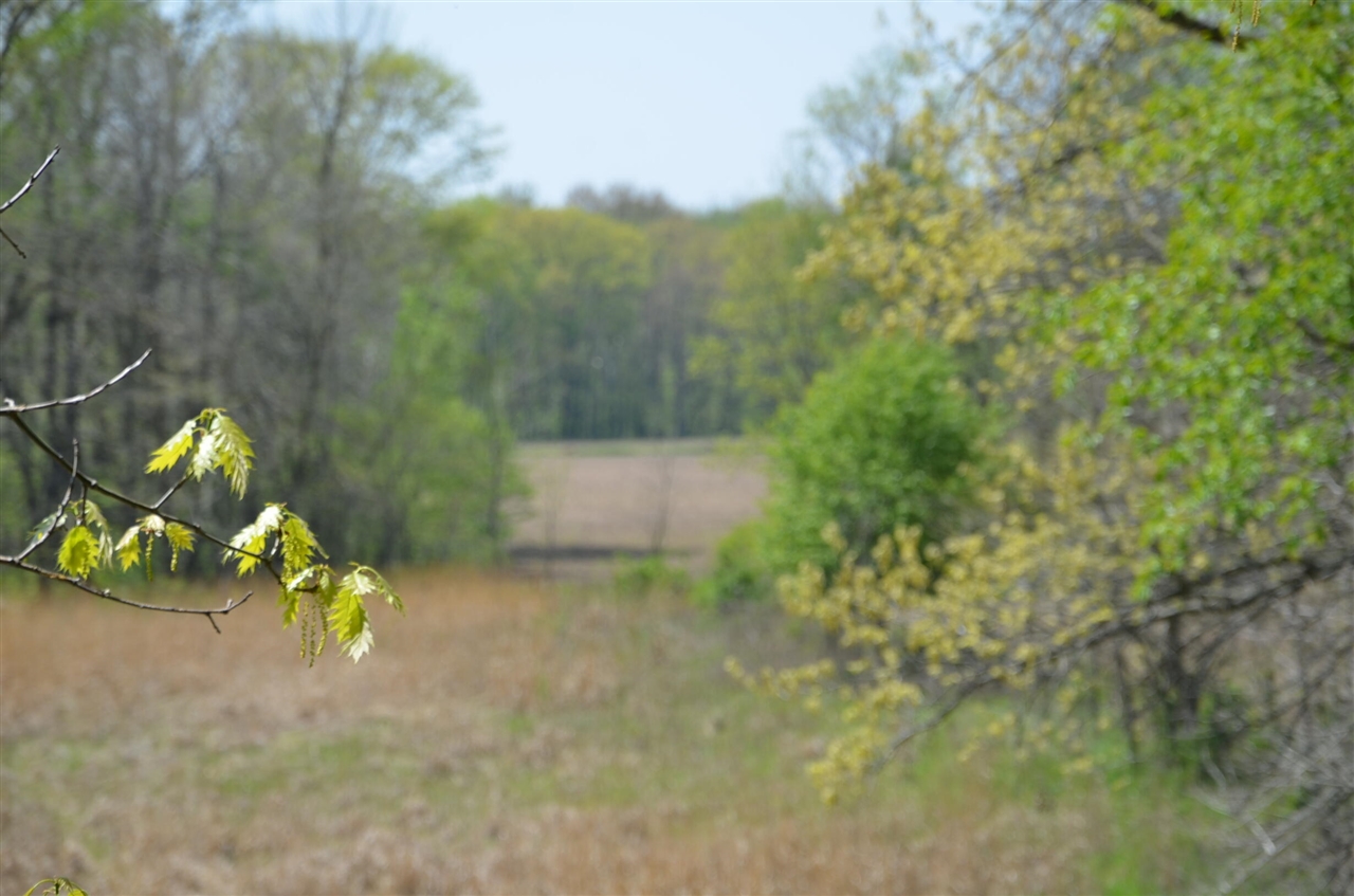 2255 River Road Hastings, MI 49058 - Photo 87 of 94