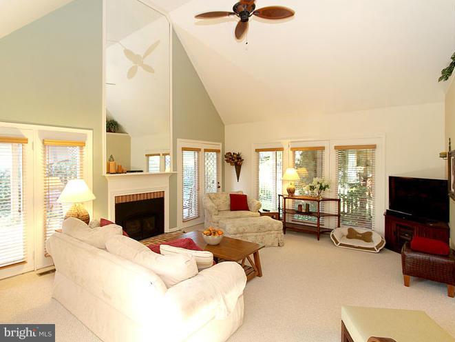8 Midsummer Court Gaithersburg, MD 20878 - Photo 11 of 30 a living room with furniture a fireplace and a flat screen tv