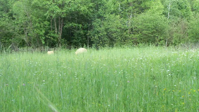 $159,900 | 90-acres 90-acres Kornstead Road, Mellen, WI 54546