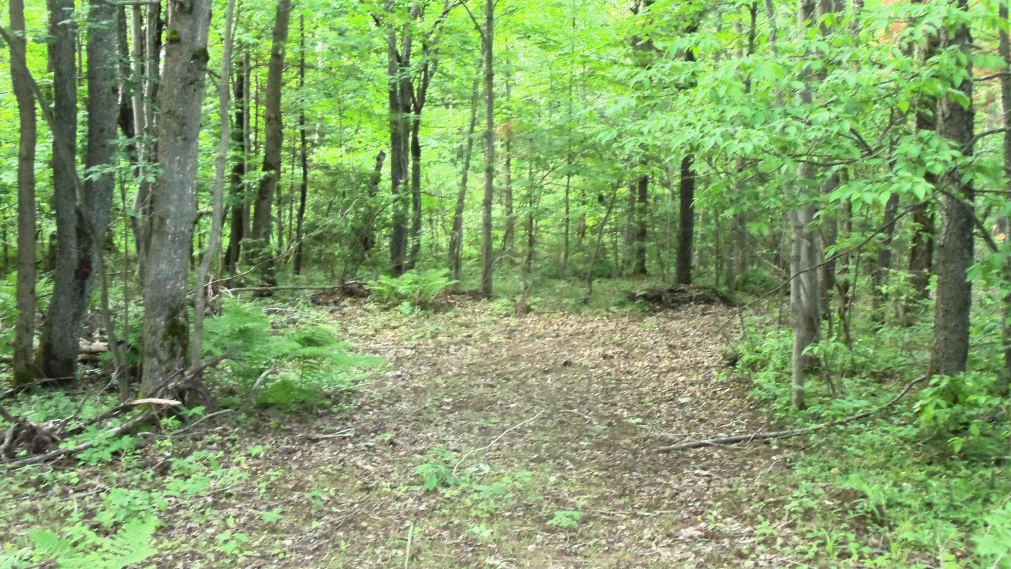 90-acres Kornstead Road Mellen, WI 54546 - Photo 14 of 42